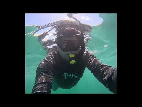 isabela island galapagos pearl day 4 2026