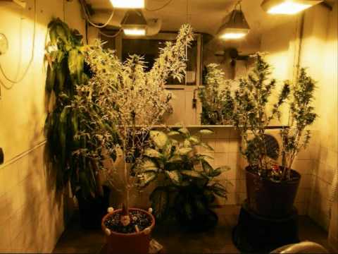 fl STUDIO 10 BEATS BY dj KRZYCHO hip - hop