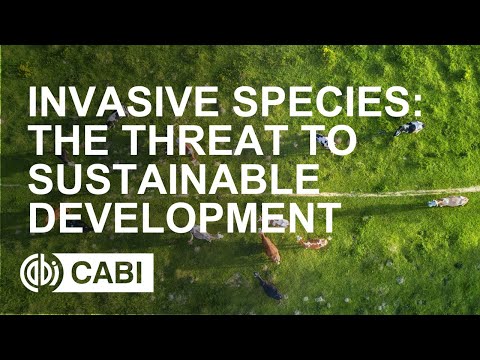 Invasive Species - The threat to sustainable development