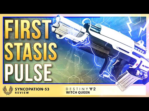 Destiny 2: Syncopation-53 is a good pulse and there's only two rolls I really recommend