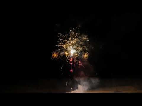 Wizard WPL30CA4904C 2/1