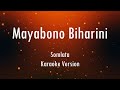 Mayabono Biharini Horini | Somlata | Rabindra Sangeet | Karaoke With Lyrics | Only Guitra Chords...