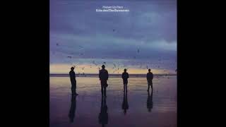 Echo &amp; The Bunnymen - No Dark Things