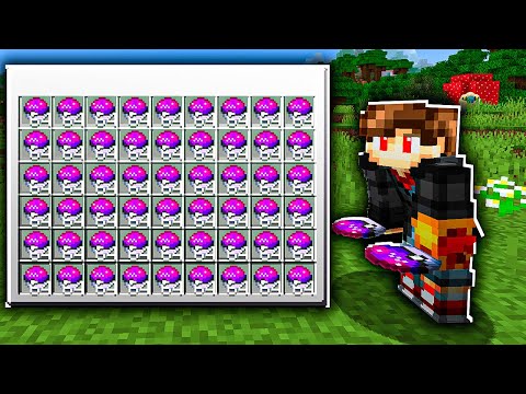 24 HORAS PARA EU CONSEGUIR MASTER BALL!