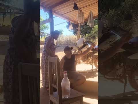 NA ROÇA EM MAMBAÍ GOIAS #caminhosdosenhor