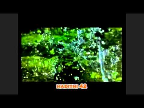 O biri i Ademit / Hadithi 42