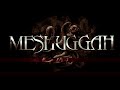 MESHUGGAH - SHED