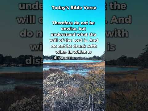 🙌 Bible verse of the day: Ephesians 5:17-18 Understand the will of God, be sober!