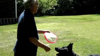 preview picture of video 'My Dad and his dog Baron playing catch.'