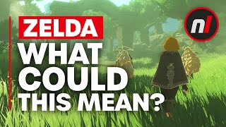 Please, Tell Me I'm Wrong About This Hyrule Warriors: Age of Imprisonment Detail