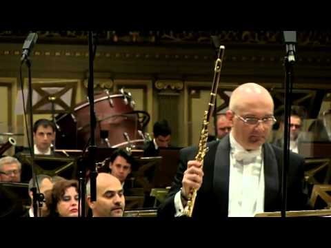 @ionbogdanstefanescu  Carmen Petra Basacopol  - Concertul pentru flaut și orchestra