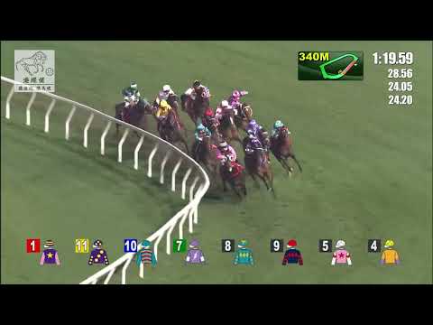 港經佬賽事重溫｜15-12-2021 谷草夜馬第七場賽事重溫 (259)｜追風驥足 Incanto Prepared (D009)｜莫雷拉 J Moreira｜蔡約翰 J Size｜免費心水及賽馬貼士