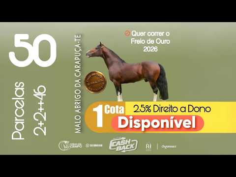 Quer correr o Freio de Ouro 2026?