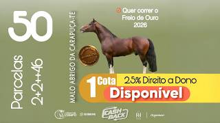 Quer correr o Freio de Ouro 2026?
