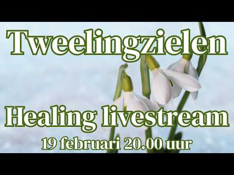 Tweelingzielen livestream 19 februari 20.00 uur
