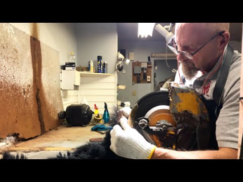 Un tanneur amoureux des animaux