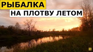 Когда лучше ловить чебака летом на сани