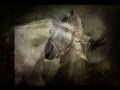 Hadouk Trio - BALDAMORE ( 2007 ) - Baldamore