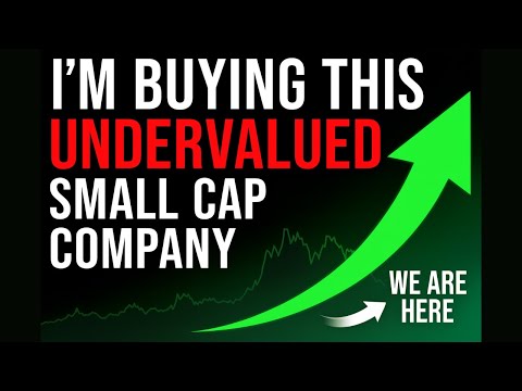 Small Cap Companies that Could 10x Ep1: GSL Stock Analysis