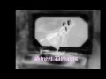 Diary of Dreams - Dead Souls Dreaming