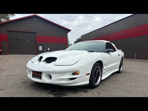 1998 Pontiac Firebird Trans Am (CC-1902564) for sale in Annandale, Minnesota