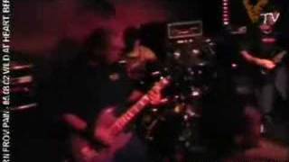 VEGAN TV - Born From Pain - Under These Skies