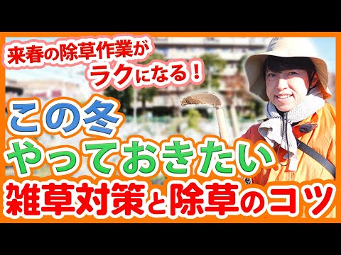 こうやって観賞用の草を冬に越すことができます トピックス