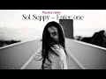 Sol Seppy - enter one (Flawless remix)