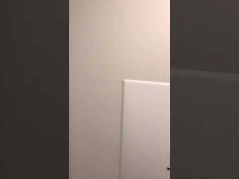 Apt 5802 751 sq ft 1 Bed 1 Bath with Balcony