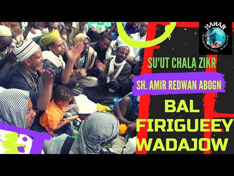 Harari ancient zikri. Bal Firigueey Wadajow. by Sh. Amir Redwan Abogn and the Awbadsor Jamma'a. 2012