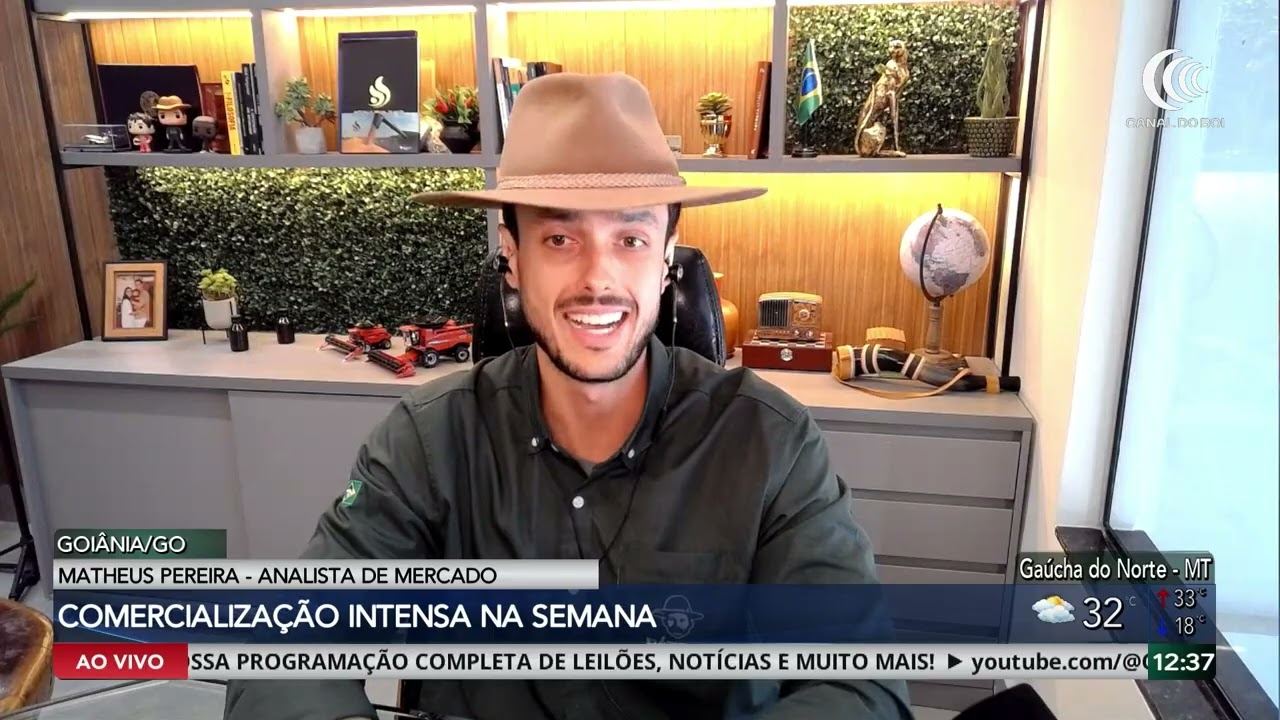 Soja avança com vendas aquecidas e mercado acompanha crédito rural