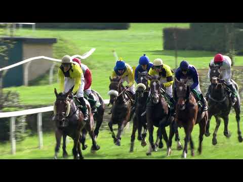 PE, 11. 10. 2020, 4. dostih - Stříbrná trofej - Cena pivovarů Staropramen