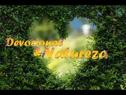 Adoração e Natureza para seu devocional diário