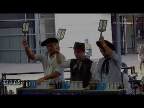 Capanegra Acquavia - Dudu Quadros - Freio de Ouro FICCC 2023 - Mangueira 1 - 31.03.2023