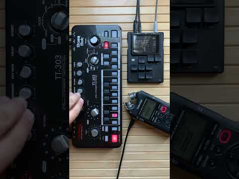 First Cyclone TT-303 mk.2 Acid test 🫠 #shorts #303day #music #acidmusic #electronicmusic #acidparty