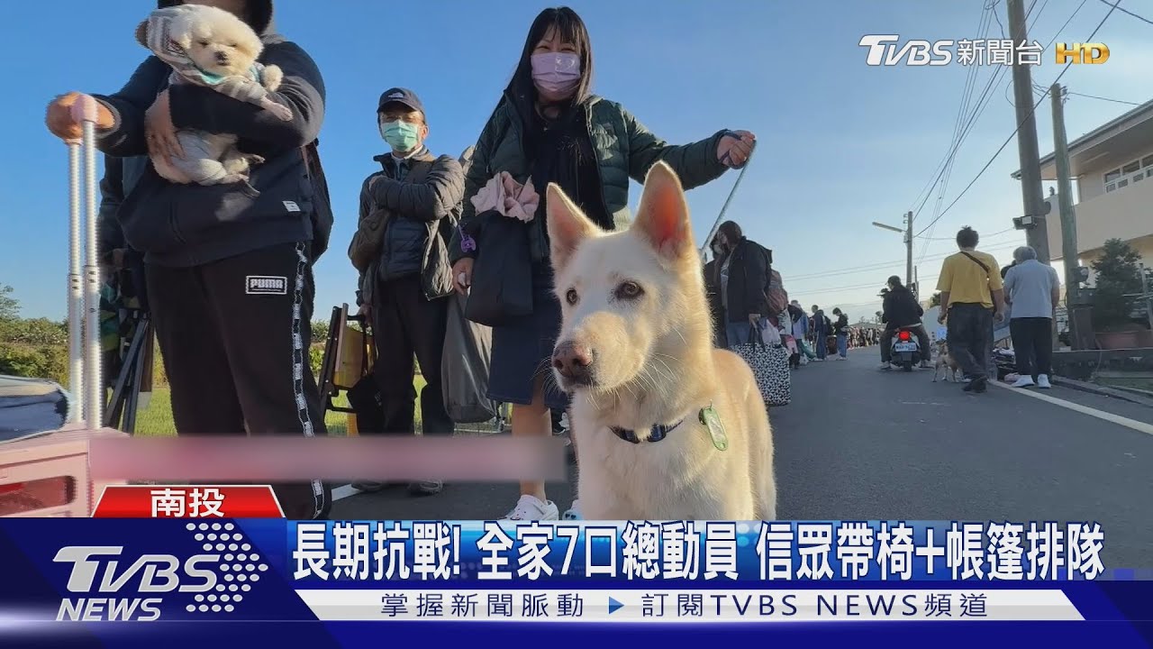 紫南宮馬年錢母掀排隊熱!彰化男苦等12天拿頭香 信眾帶椅帳篷長期抗戰