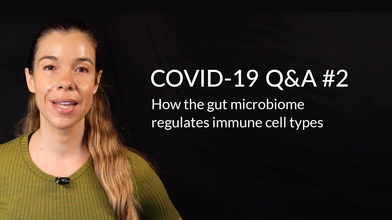 How the gut microbiome regulates immune cell types