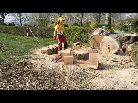 Stihl MS 271 zum Sägen der Eiche in handliche Stücke