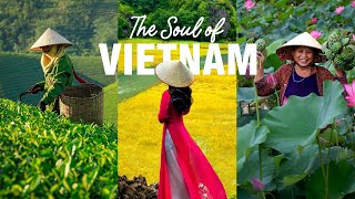 Exploring Vietnamese Culture And Traditions #vietnam
