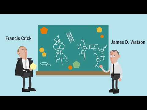 The Discovery of the Structure of DNA