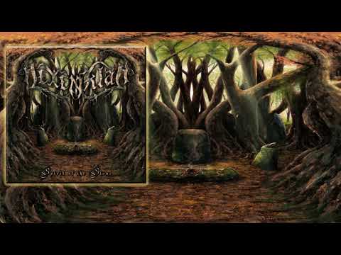 Hexenklad  - To Whom Veer Sinistral (2017)