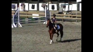 Yukon&#39;s Northern Lights