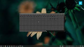 How to look up registry values from Command Prompt on Windows 10
