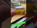 Video Thumbnail for Insane Spoon Lure For Huge Trout And Northern Pike