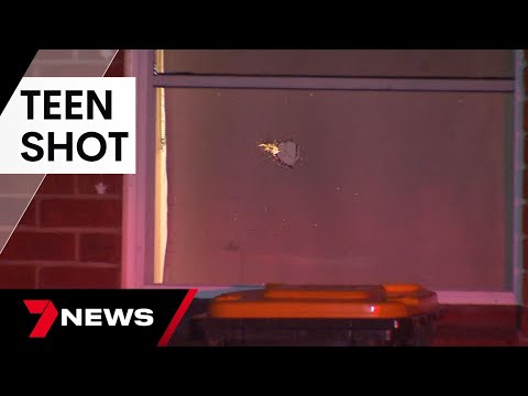 Adelaide's Sudanese gang war escalates following a terrifying shooting at Kilburn | 7 News Australia