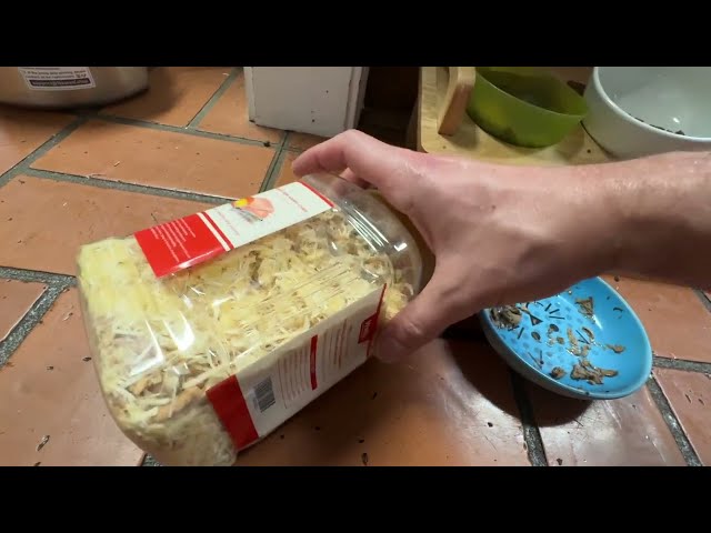 Best Natural Freeze-Dried Pet Food Topper for Healthy Coats - product in use