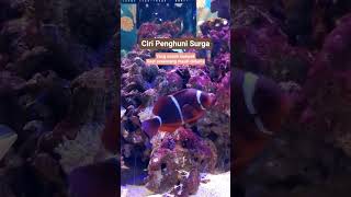 Download lagu Characteristics of the inhabitants of heaven #sermon #inhabitants of heaven #heaven #mustajabpray... mp3