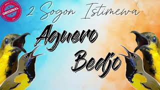 Download lagu BARU ‼️ MASTERAN 2 SOGON ISTIMEWA | AGUERO DAN BEDJO #sogon #sogongacor #sogokontong mp3