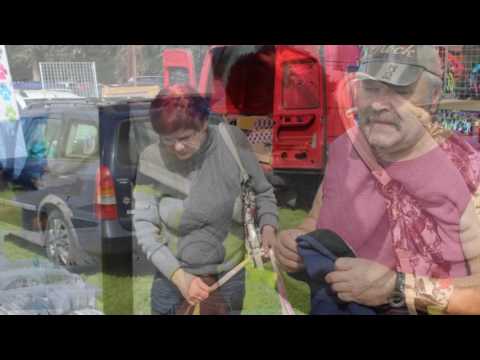 Mezinárodní výstava psů v Mladé Boleslavi 2016