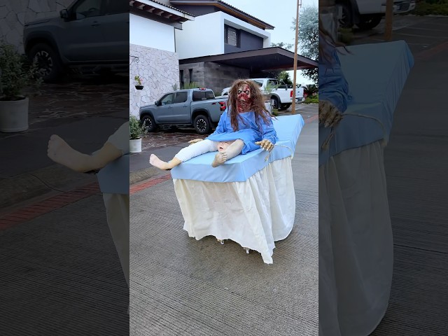 Vídeo relacionado con XEPST Conjunto de Disfraces de Jabalí Animal, Orejas y Cola Con Diadema para Disfraz, Cosplay, Cumpleaños, Halloween, Suministros para Fiestas